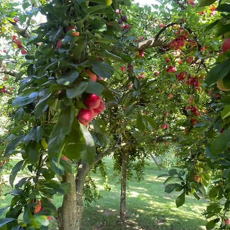 Le Moment D'evasion Casa vacanze