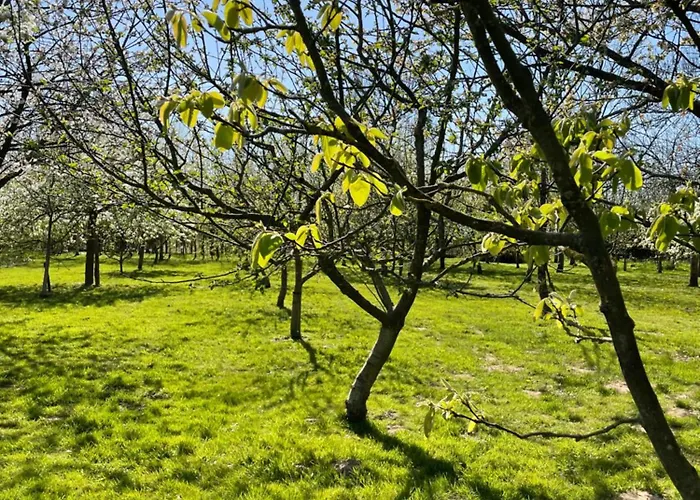 Ferienhaus Le Moment D'evasion Beussent