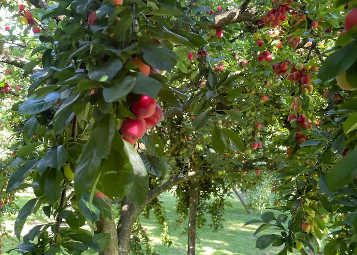 Le Moment D'evasion Ferienhaus